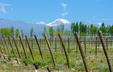 Finca Familia Stampalia