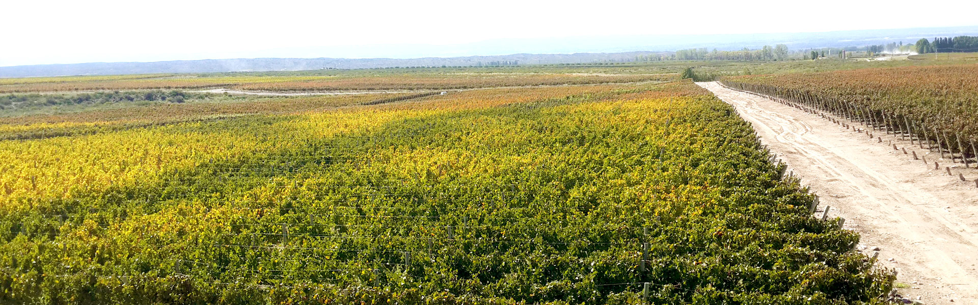 Valle de Uco